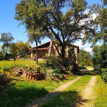 La Simona Casa Rural Perales del Puerto Zewnętrze zdjęcie