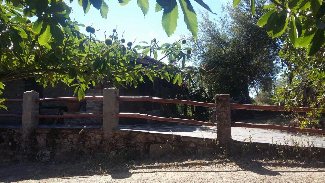 La Simona Casa Rural Perales del Puerto Zewnętrze zdjęcie