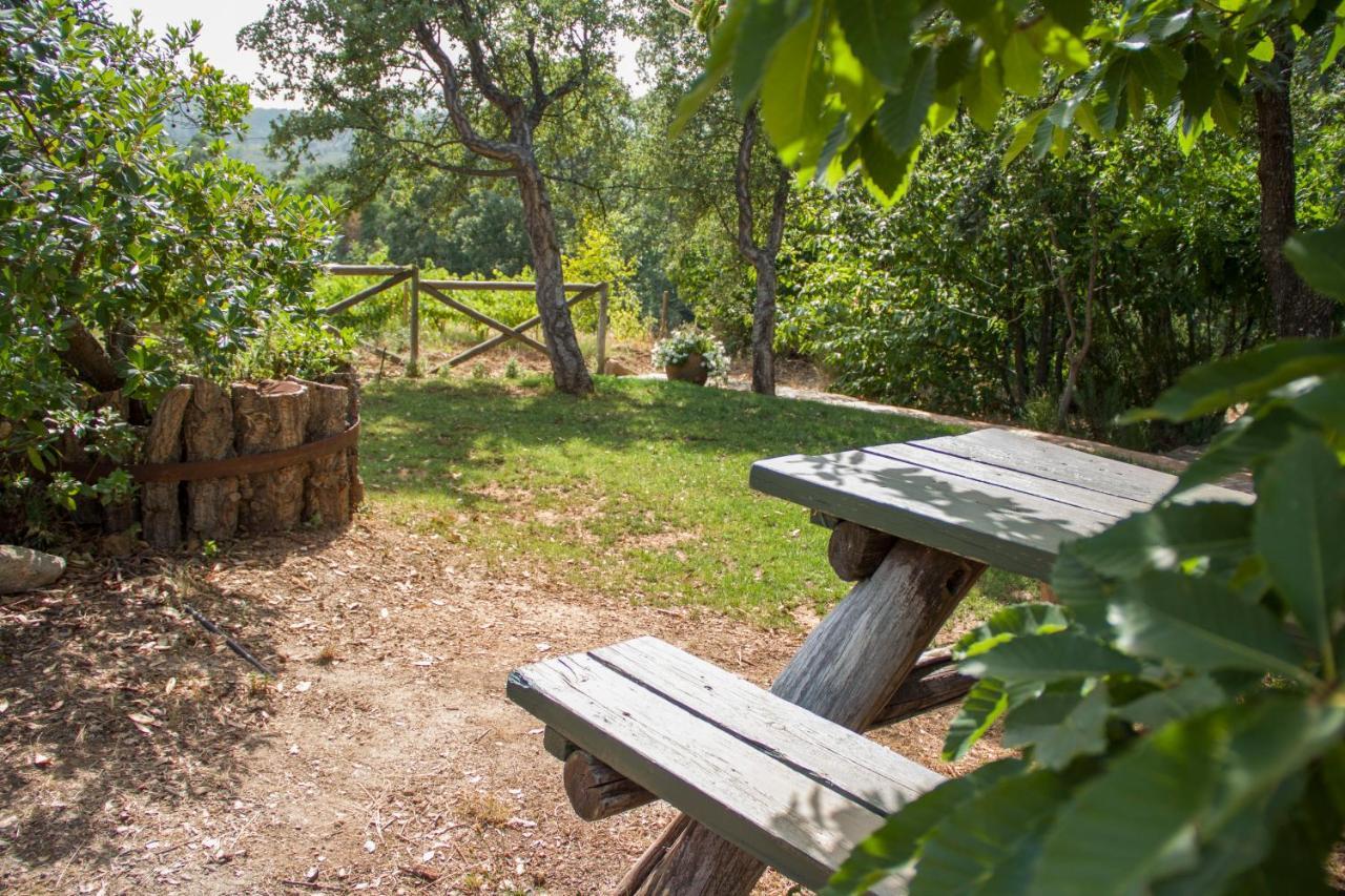 La Simona Casa Rural Perales del Puerto Zewnętrze zdjęcie