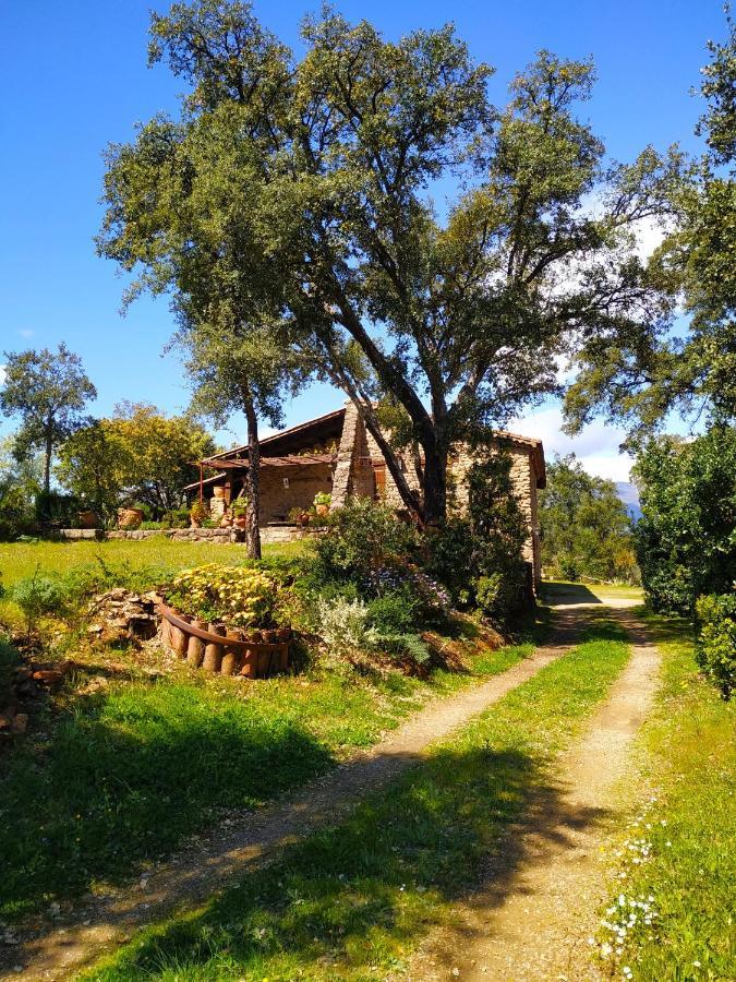 La Simona Casa Rural Perales del Puerto Zewnętrze zdjęcie