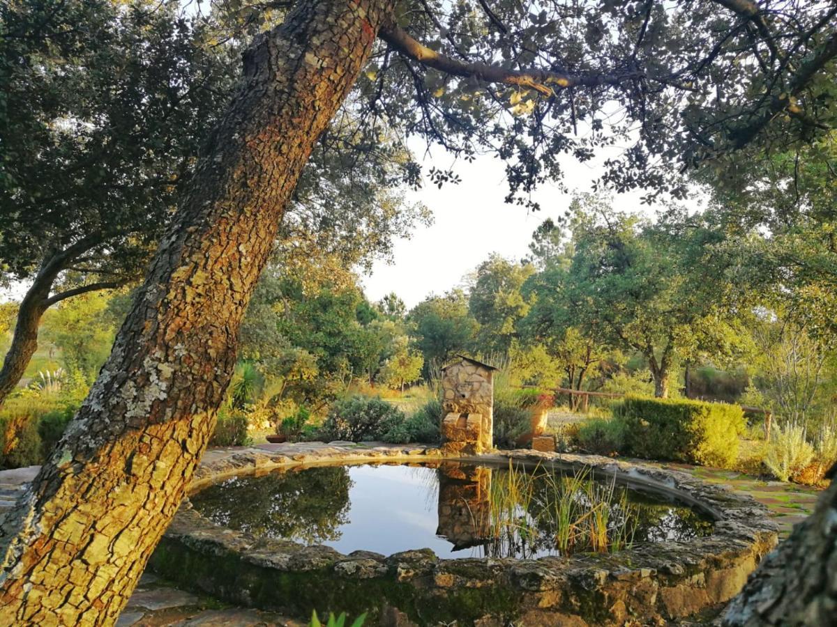 La Simona Casa Rural Perales del Puerto Zewnętrze zdjęcie