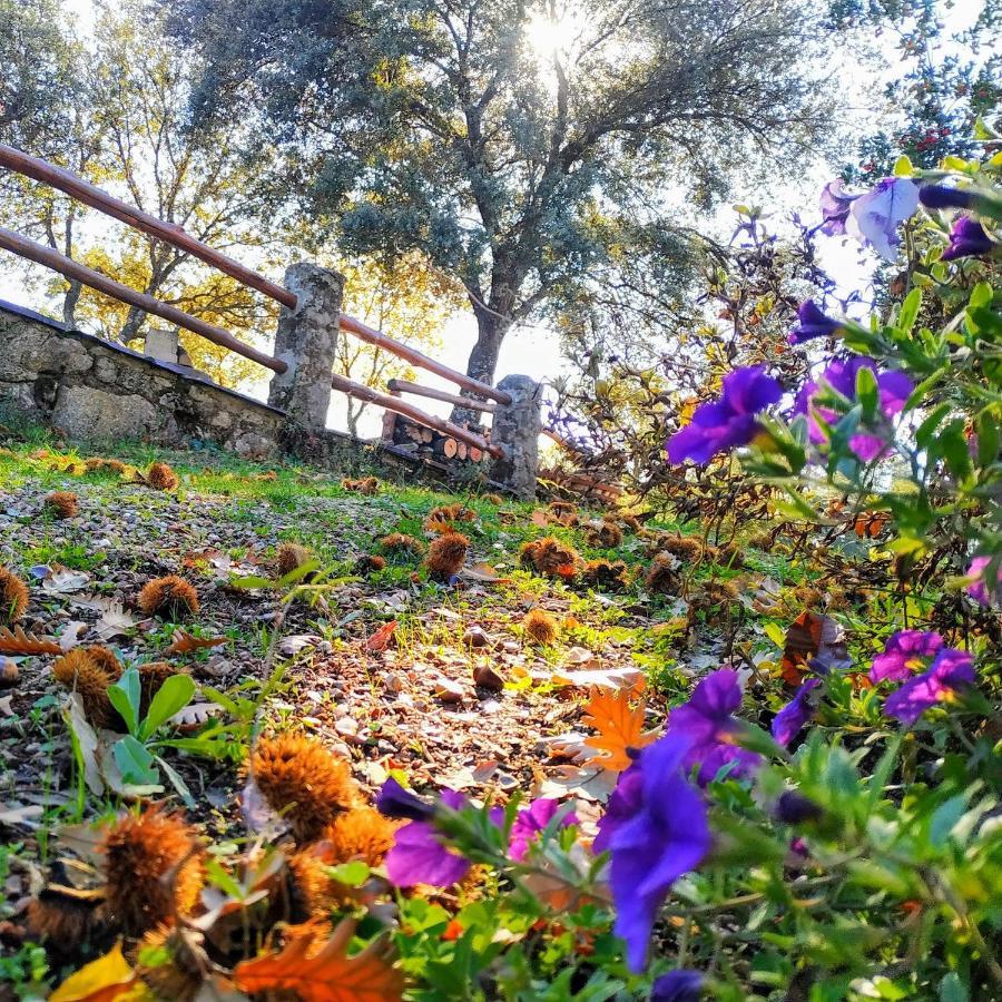 La Simona Casa Rural Perales del Puerto Zewnętrze zdjęcie