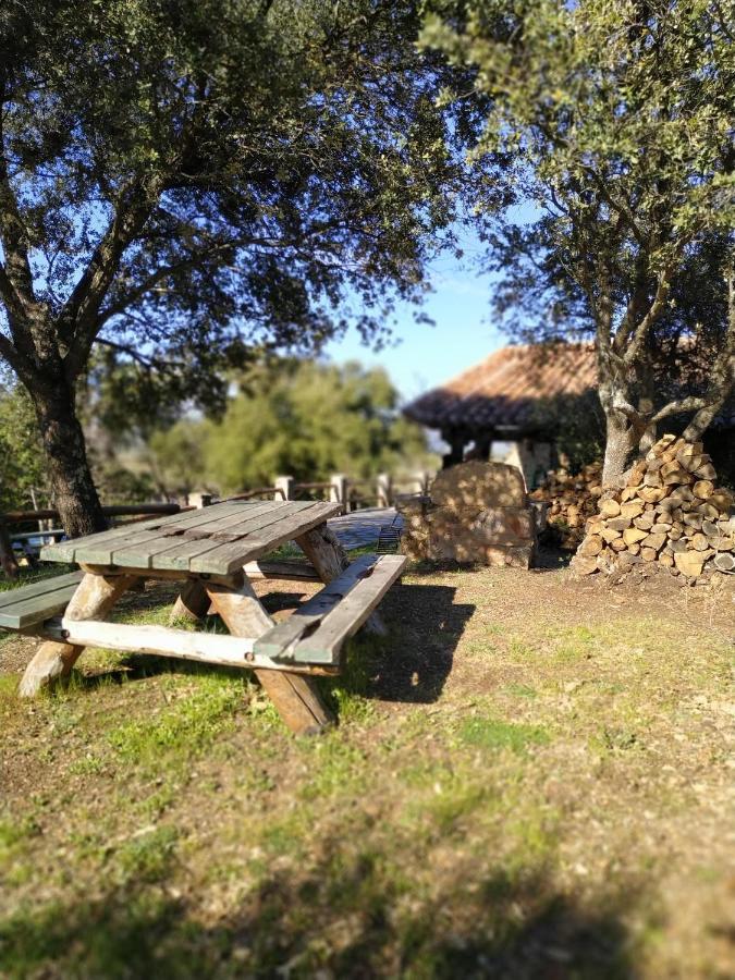 La Simona Casa Rural Perales del Puerto Zewnętrze zdjęcie