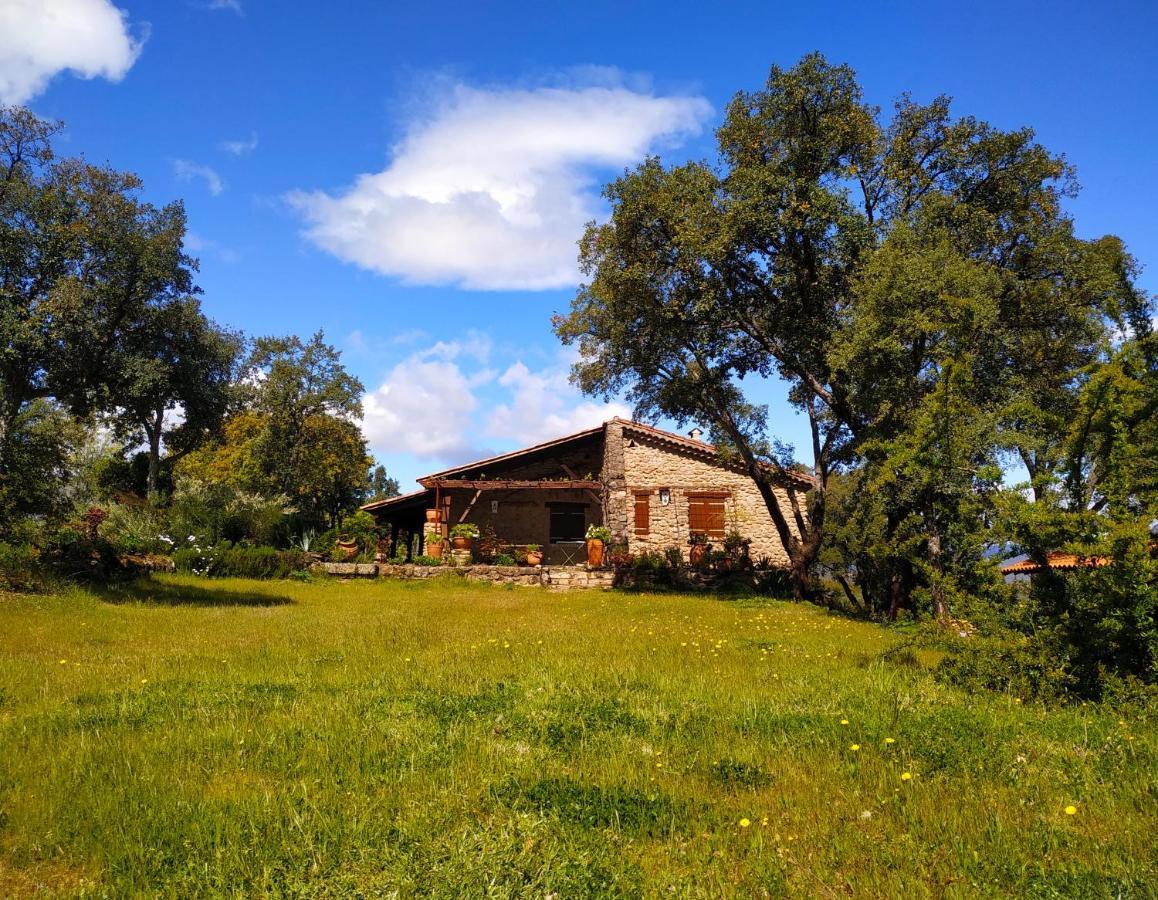 La Simona Casa Rural Perales del Puerto Zewnętrze zdjęcie