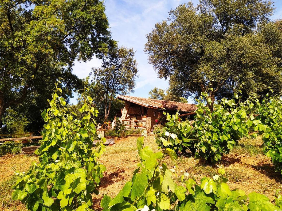 La Simona Casa Rural Perales del Puerto Zewnętrze zdjęcie